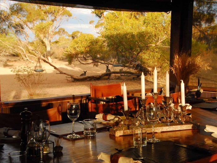 Dining Room With Kangaroos In Back Ground Kirkhope Aviation Kangaluna And Gawler Ranges
