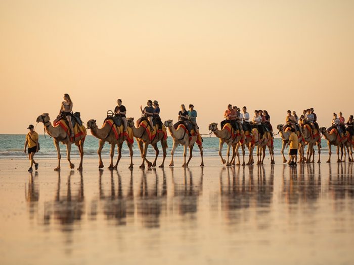 Cable Beach Camel Ride CR Tourism WA