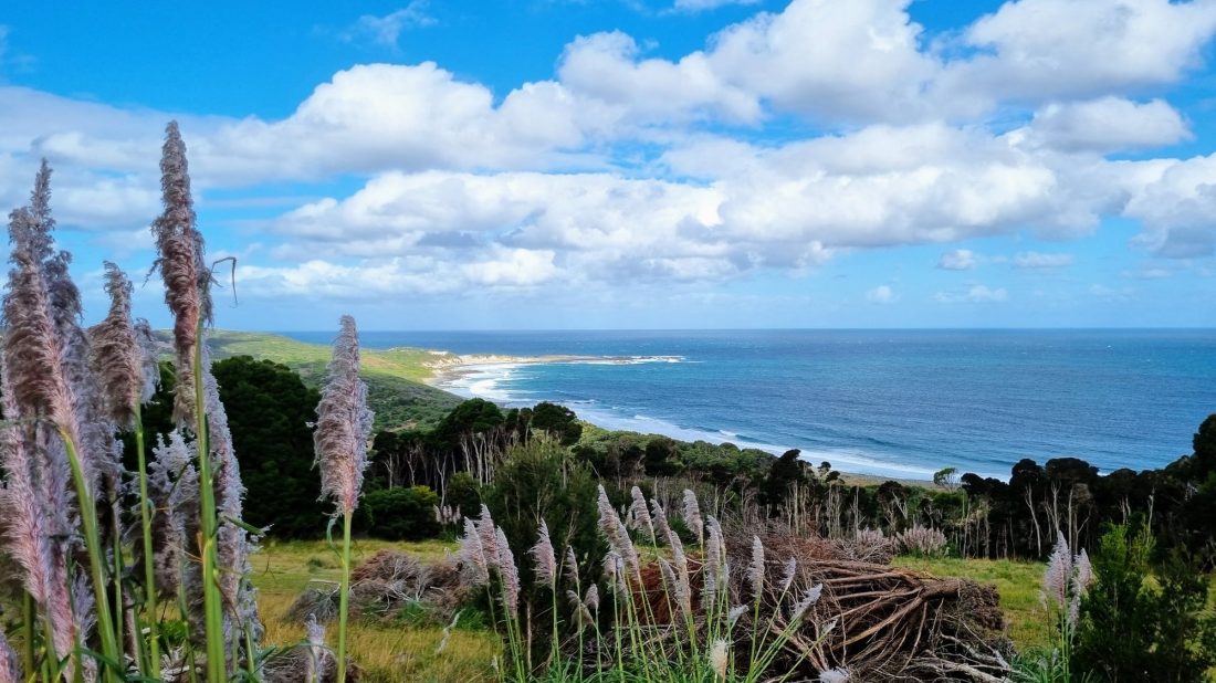 Fly, Experience and Fall in Love With King Island 3 Day Air Tour