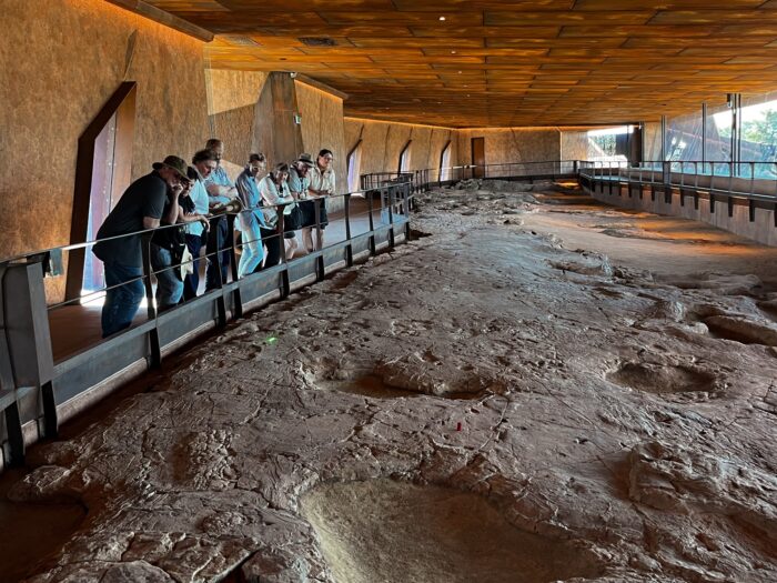 Dinosaur Footprints Winton