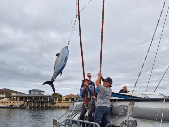 Poling Tuna On The Tacoma, Port Lincoln