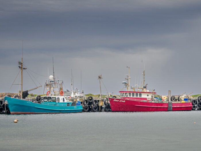 King Island, Neale Walters