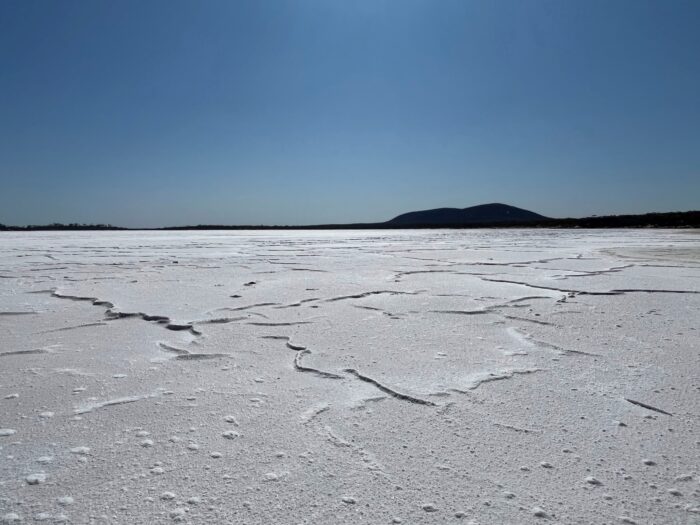 Lake Gairdner Web