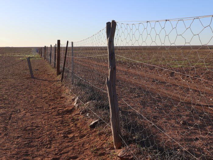 Dingo Fence, Coober Pedy