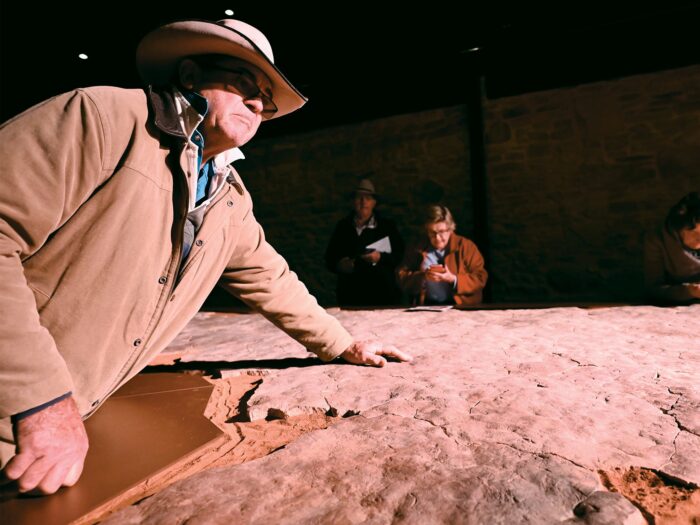 Ediacaran Fossil Tour