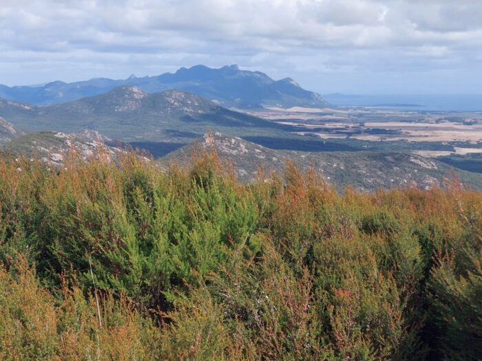 Flinders Island