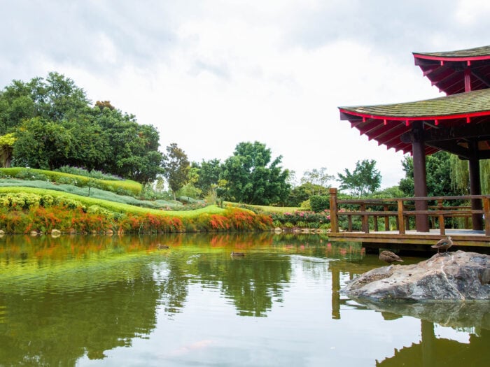 Hunter Valley Gardens 2 