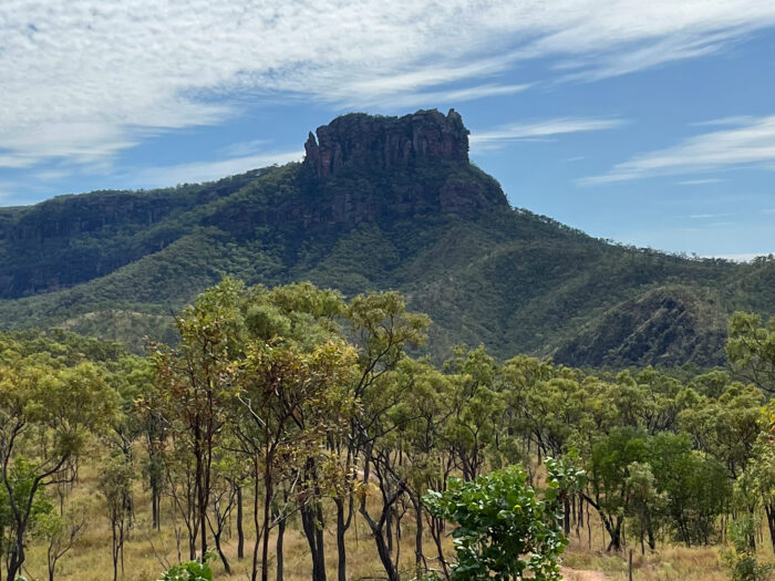 Mt Mulligan