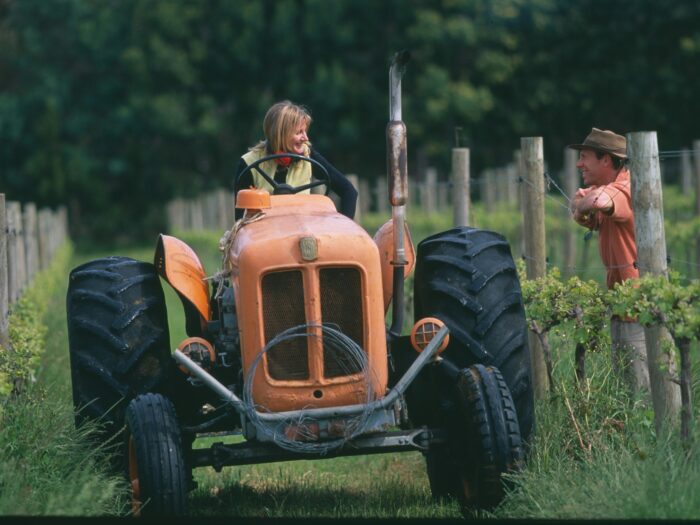 Oranje Tractor Vineyard