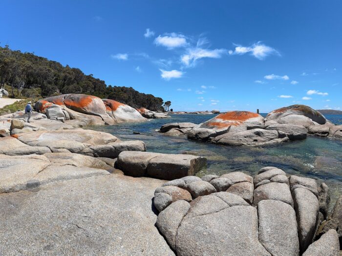 Palana