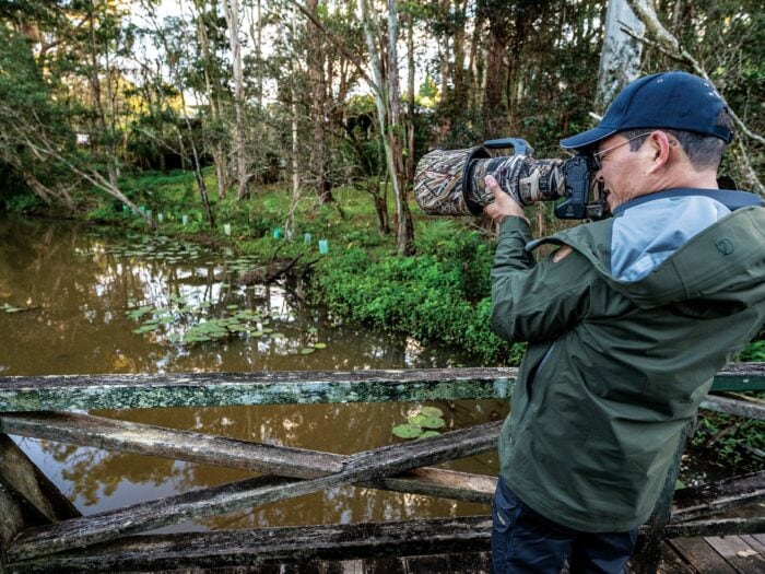 Platypus Spotting, Byron Hinterland