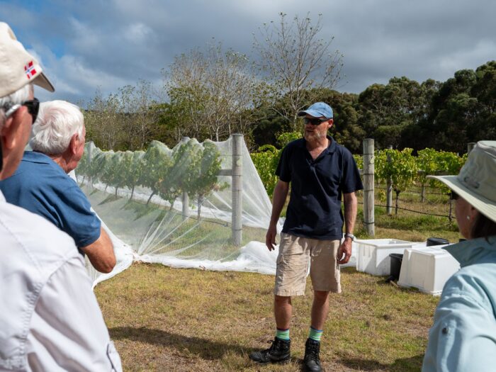 Unavale Vineyard