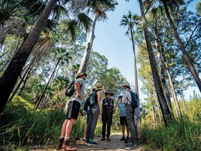 Carnarvon National Park