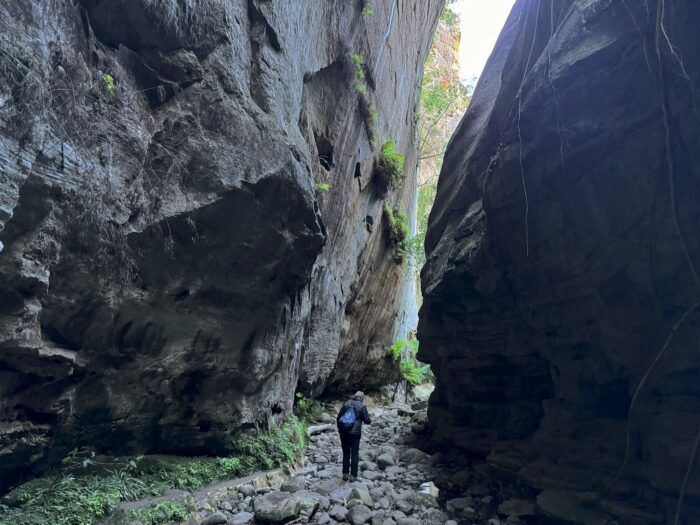 Warambah Gorge, Carnavon National Park