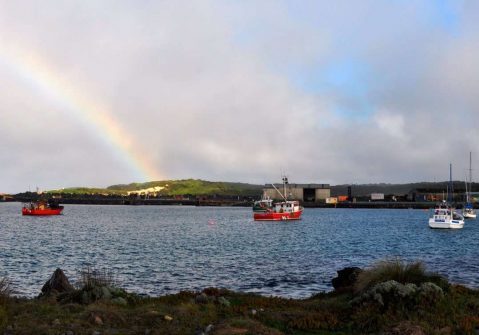 Tour King Island with Kirkhope Aviation